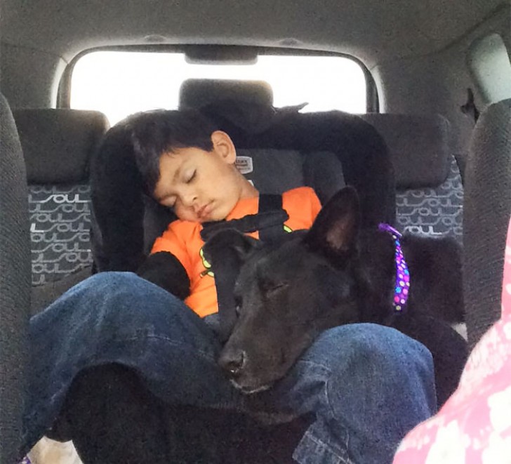13. "Mio figlio e la cagnolina che abbiamo adottato: sono passati appena 20 minuti da quando siamo usciti dal canile".