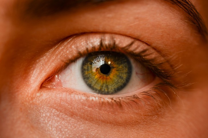 Der Grund für grüne Augen (und alle anderen Farben).