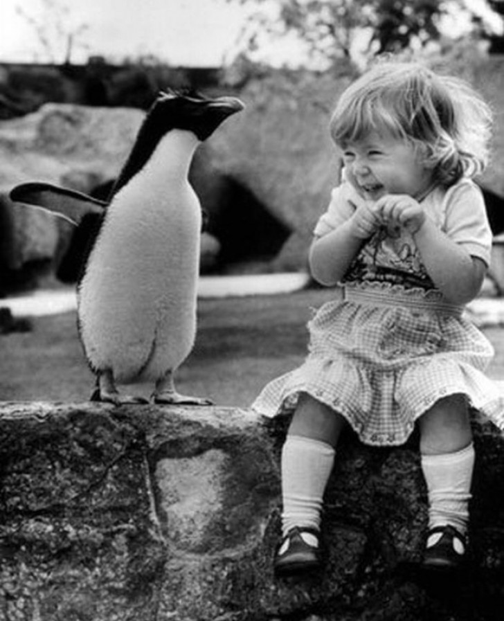 Een meisje ziet voor het eerst een pinguïn.