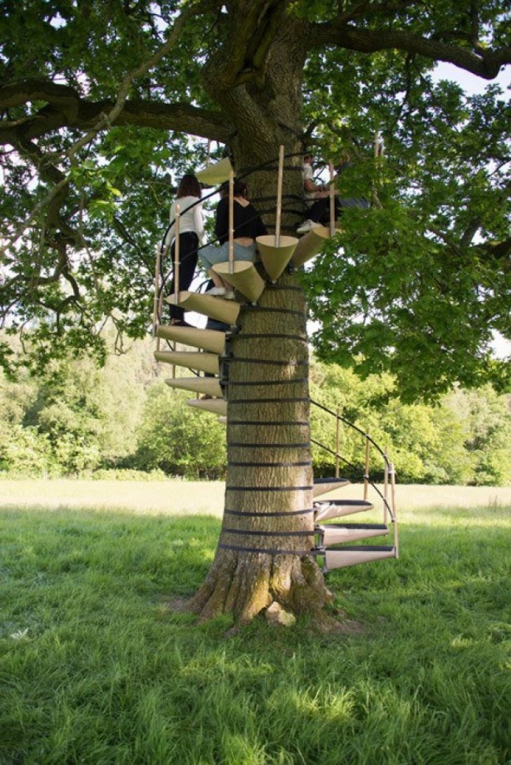 Una scala monta e smonta per alberi che permette di "arrampicarsi" su di essi in tutta facilità.