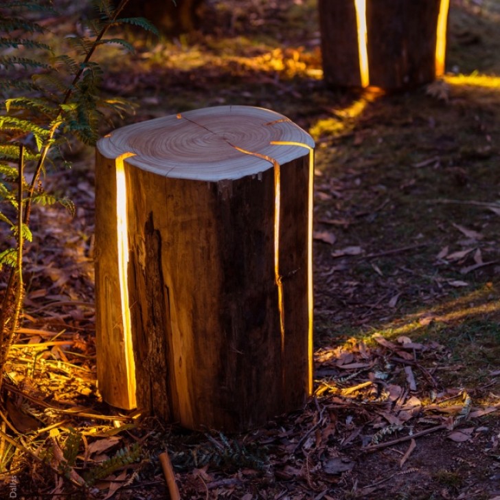 La lampada LED ricavata da un tronco di albero.