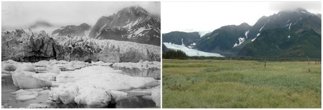 1. Pedersen Glacier in Alaska. Summer 1917 - Summer 2005