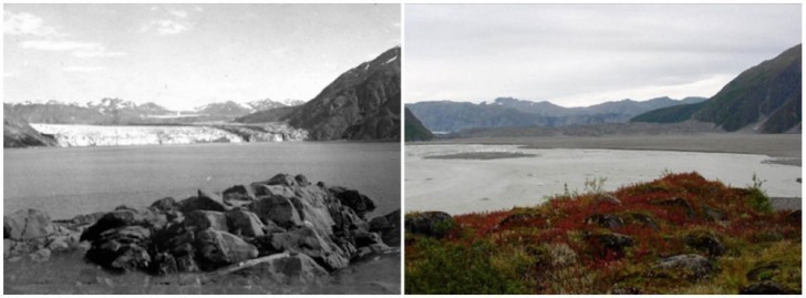 12. Glacier Carroll, Alaska. Août 1906 - septembre 2003