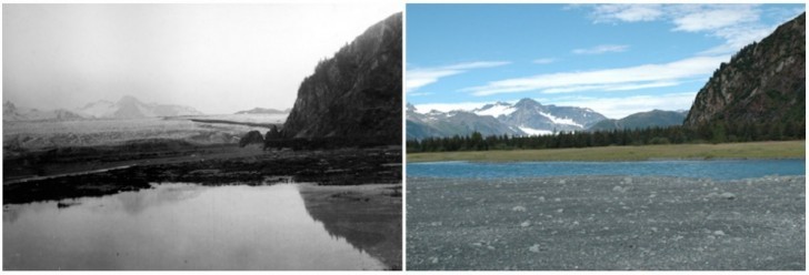 13. Bear Glacier , Alaska. Juillet 1909 - août 2005