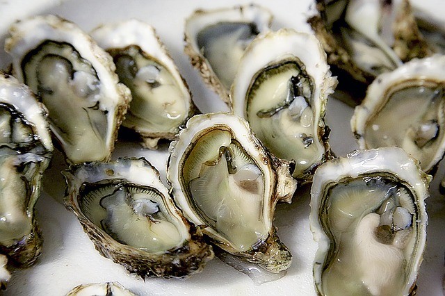 2. Oesters