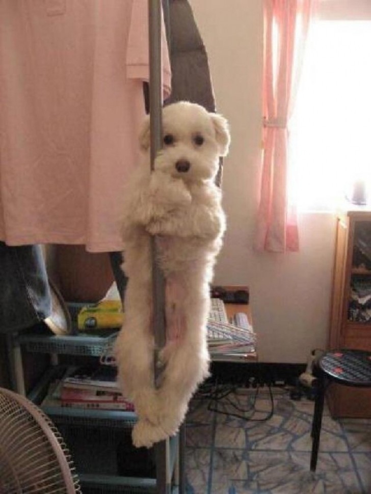 12. I was just practicing my pole dance routine ...