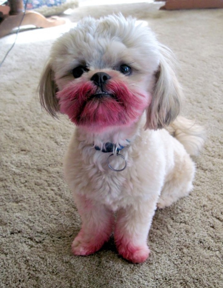 10. Ah, c'était à toi le rouge à lèvre Chanel?