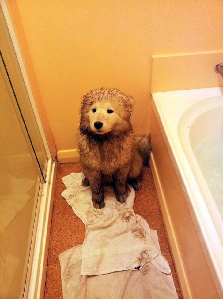 You wanted the mud, now it's BATH time!