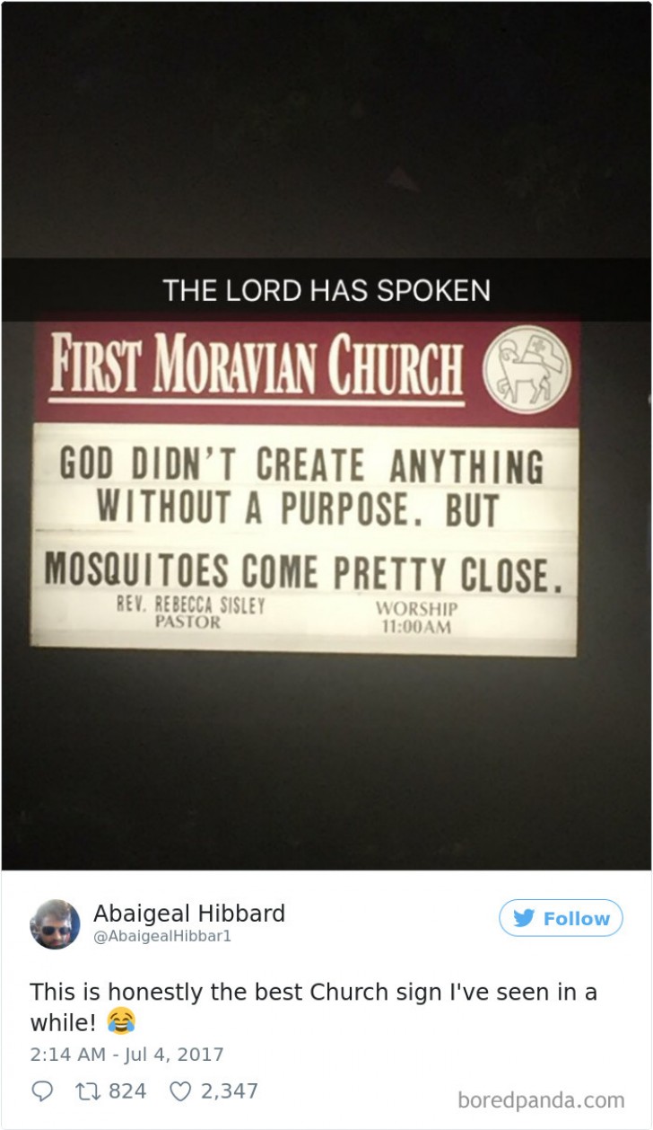 Dio non ha creato nulla senza un motivo. Ma con le zanzare ci è andato vicino.