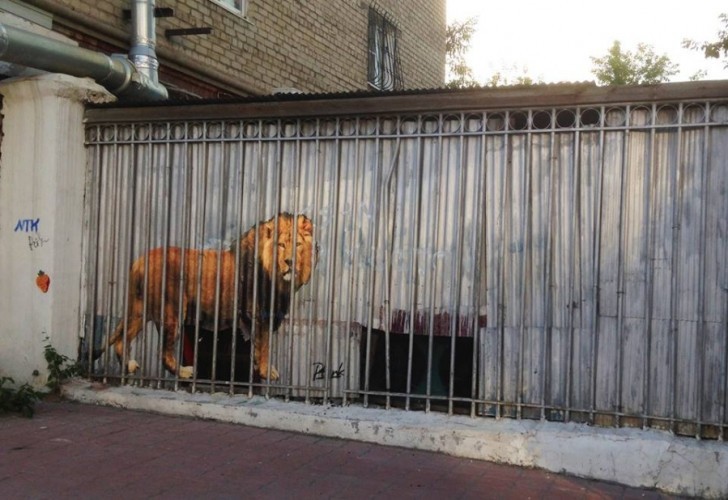11. Un leone in gabbia.