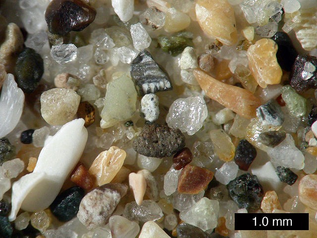 24. Unterm Mikroskop sieht Sand sehr verschieden aus.