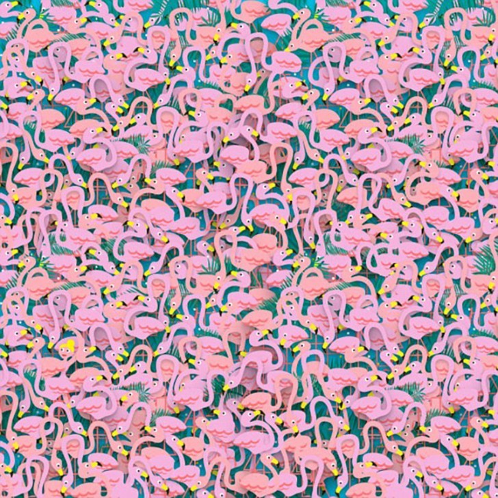 Jetzt ein anderes Spiel, diesmal geht es darum den Blick zu schärfen! Findet ihr die Ballerina unter den Flamingos?