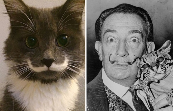 10. Salvador Dali