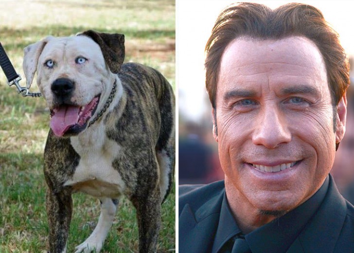 2. John Travolta