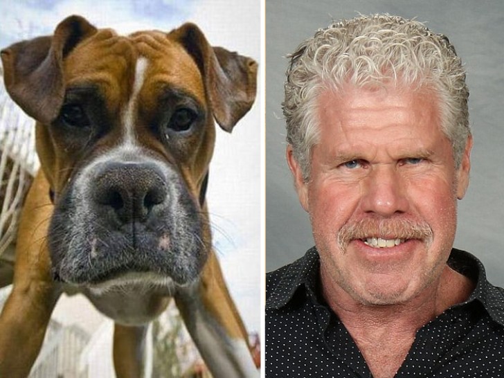 3. Ron Perlman