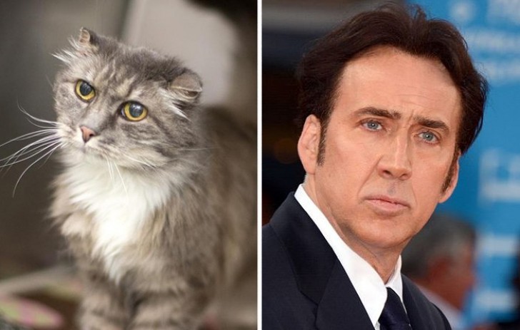 4. Nicolas Cage