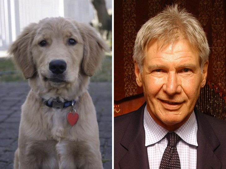 5. Harrison Ford