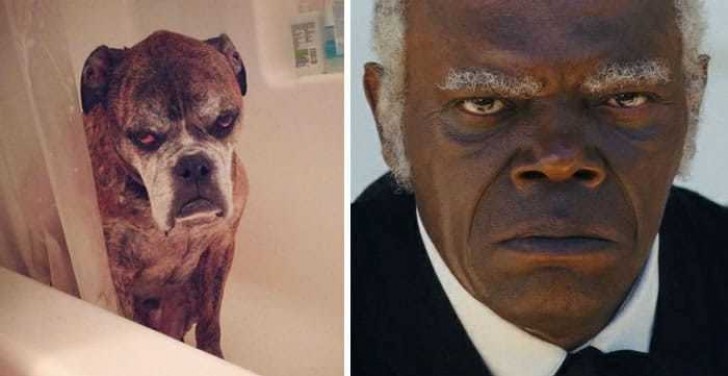 7. Samuel L. Jackson