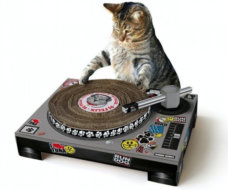 9. An original DJ cat scratcher pad in the form of a record player ... Maybe it is not the first thing we need, but isn't it awesome???