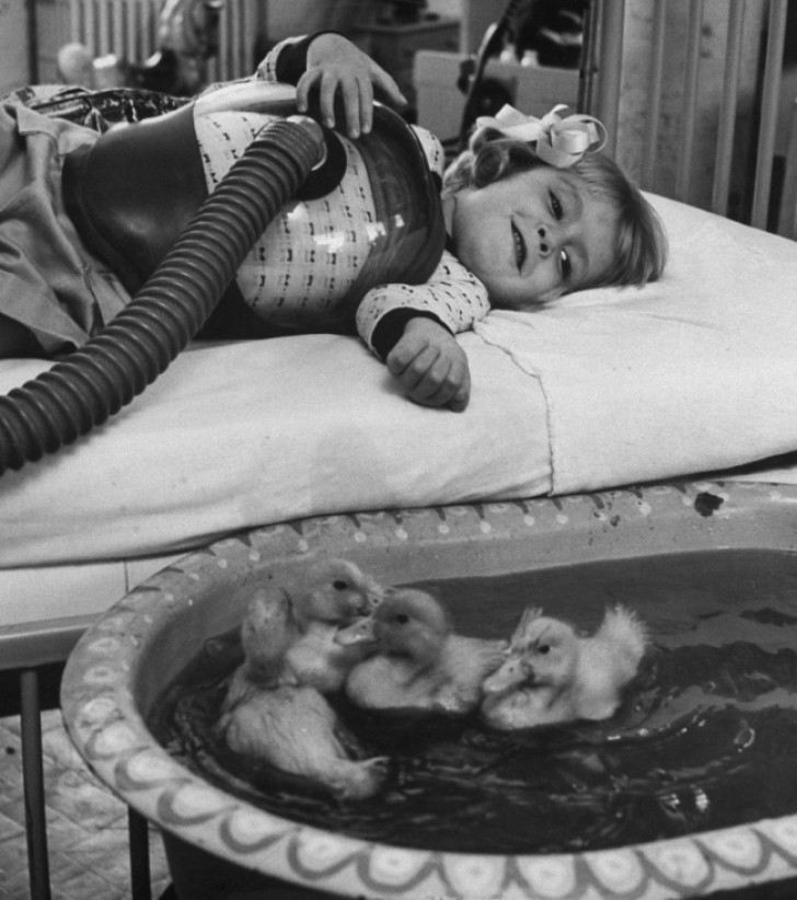 Canards utilisés pour la thérapie des enfants (1956)