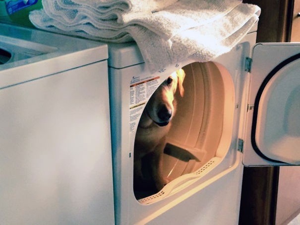 17. We just hope no one intends to use the washing machine ...