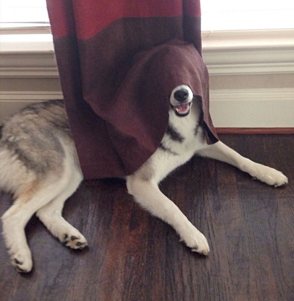 21. This curtain will make me invisible to their eyes!