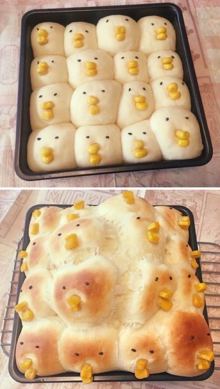 8. Mignons ces poussins, enfin, ce qu'ils sont devenus :-O