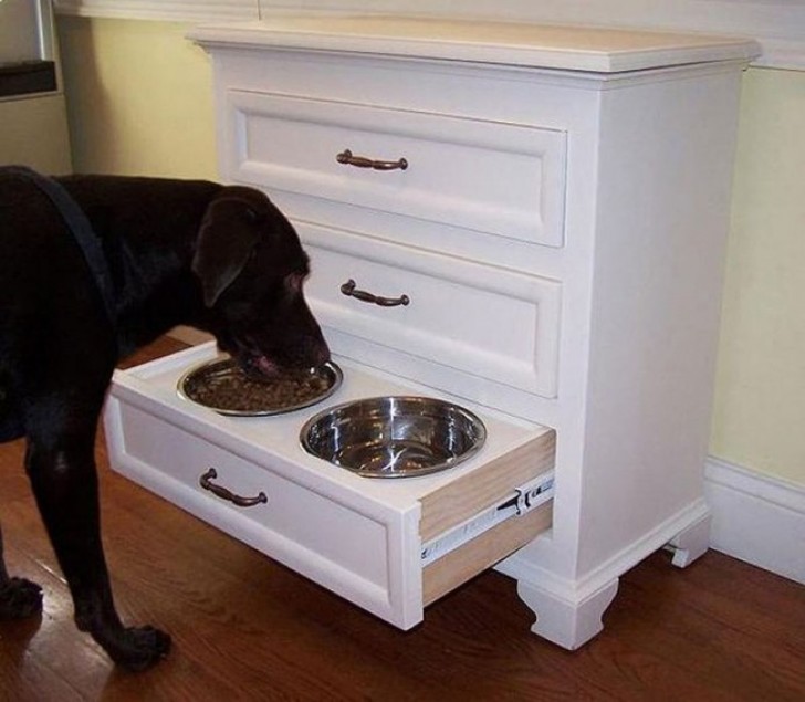9. Dog food bowls --- hidden in a chest of drawers.