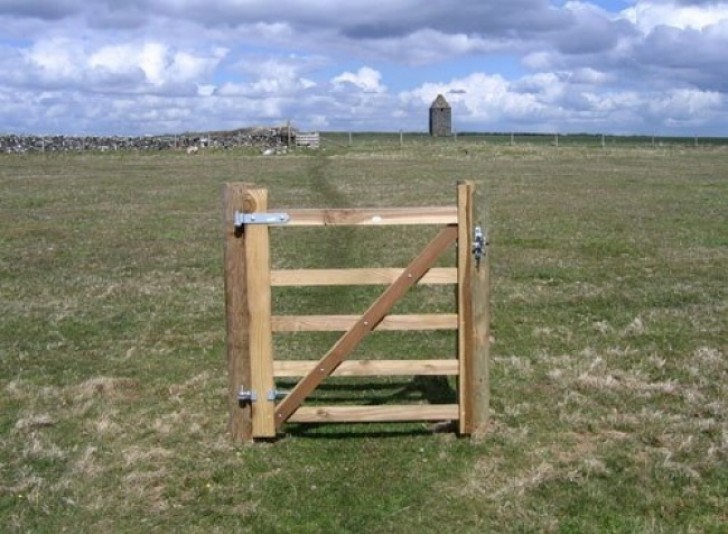 19. A very useful wooden gate.