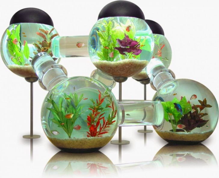 14. A multilevel labyrinth aquarium