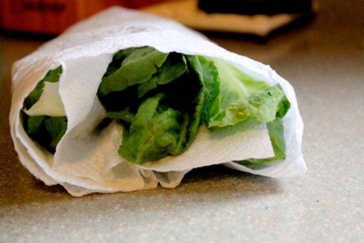 Salat sollte in absorbierendem Papier aufbewahrt werden, das die überschüssige Feuchtigkeit aufnimmt.