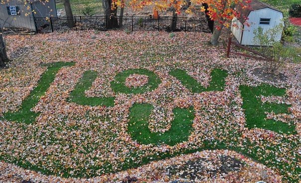 The gardener (my husband) left a message for me.