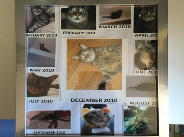 Ik en mijn vrouw hebben een kat... Zij is zo dol op hem dat ze deze schitterende 'kalender' heeft gemaakt...