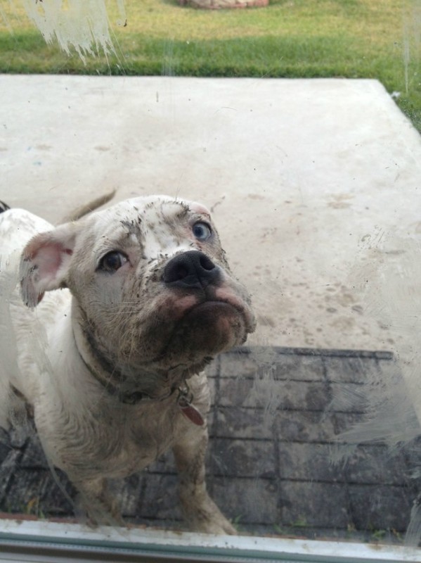 Ne fais attention à la boue, regarde comme je suis mimi!