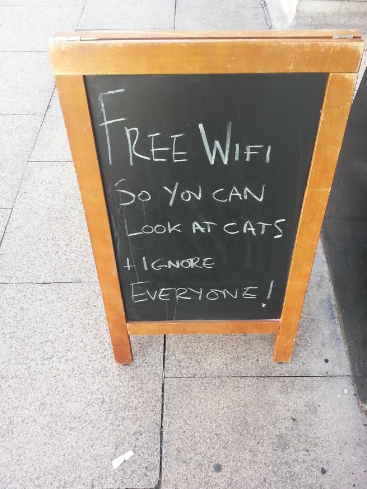 "Wi-fi gratuit, pour que vous puissiez regarder les chats et ignorer tous les autres!"