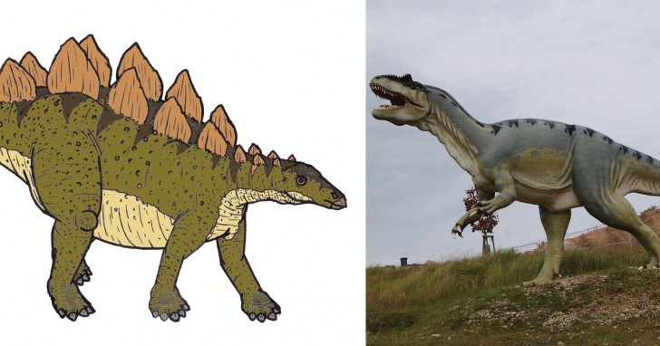 Der Zeitraum, der zwischen dem Aussterben des Stegosaurus und des T-Rex verging ist größer als der, der zweischen dem T-Rex und der Geburt des Menschen liegt. 
