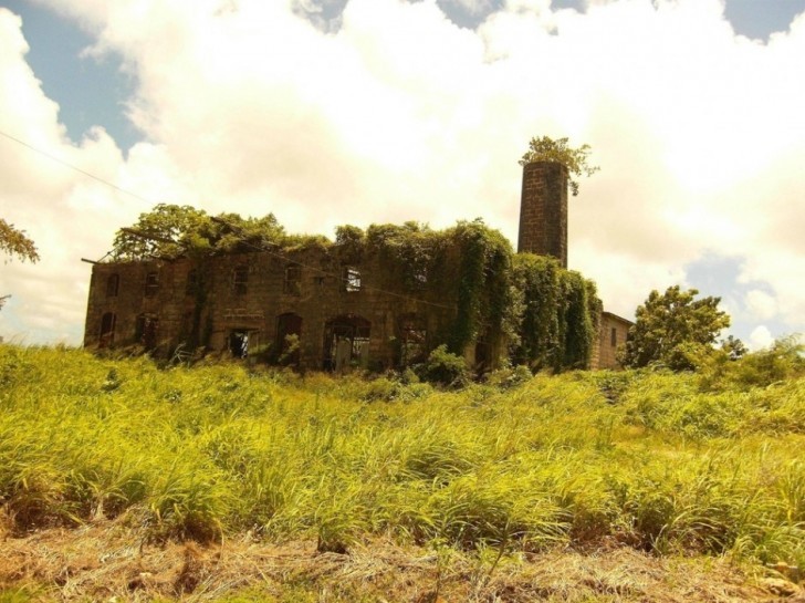 18. An abandoned distillery in Barbados (West Indies)