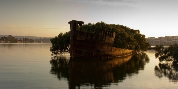 4. Skeppet SS AyrField , hamnen i Homebush (Australien)