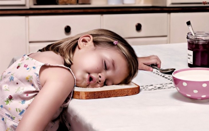 Offensichtlich war die Scheibe Brot gemütlich und weich.