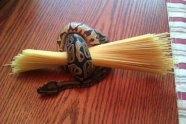 Een slang houdt de spaghetti bij elkaar.