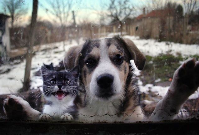 On s'est calmés... tu nous fais entrer? :-)