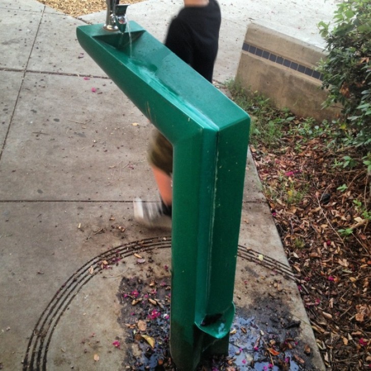 Cette fontaine pense à tous, humains et chiens (et dans le respect de l'hygiène!).