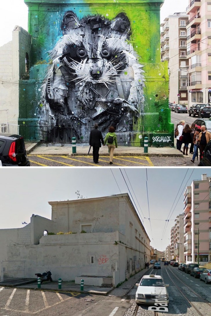 9. Lisboa (Portugal) - El mapache y la basura