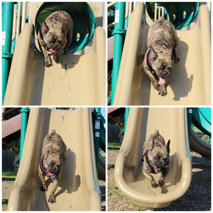 Jugar en el parque de juegos, que pasion!