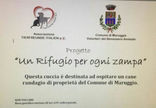 Het plan heet vrij vertaald "Elke hondenpoot een dak boven het hoofd" en is het resultaat van de inzet van de vrijwilligers dierenwelzijn en de Vereniging Dierenvrienden Italië (Associazione Tierfreunde Italien).