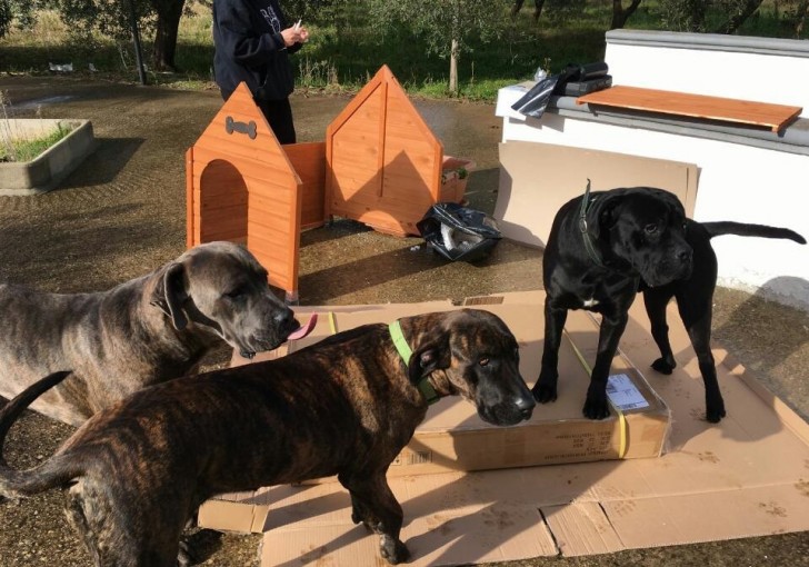 Die 22 Hundehütten wurden der Gemeinde Maruggio gespendet. Die Gemeinde hat dann die geeignetste Gegend ausgekundschaftet. 