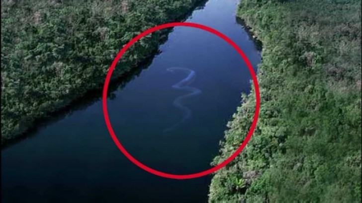 Même le long d'une rivière, on ne peut pas être tranquille: des créatures monstrueuses peuvent toujours se cacher.