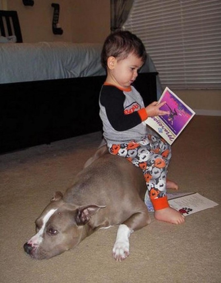 Sitting comfortably on your dog and reading a story