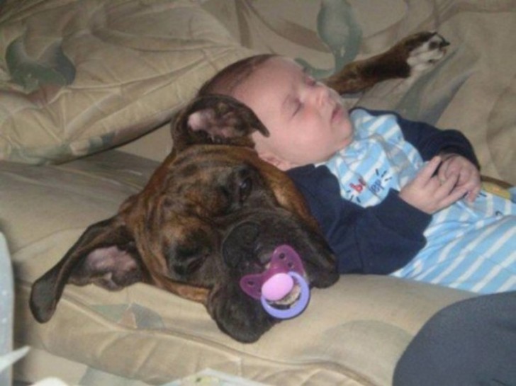 Taking a nap on your dog and even giving up your own pacifier!