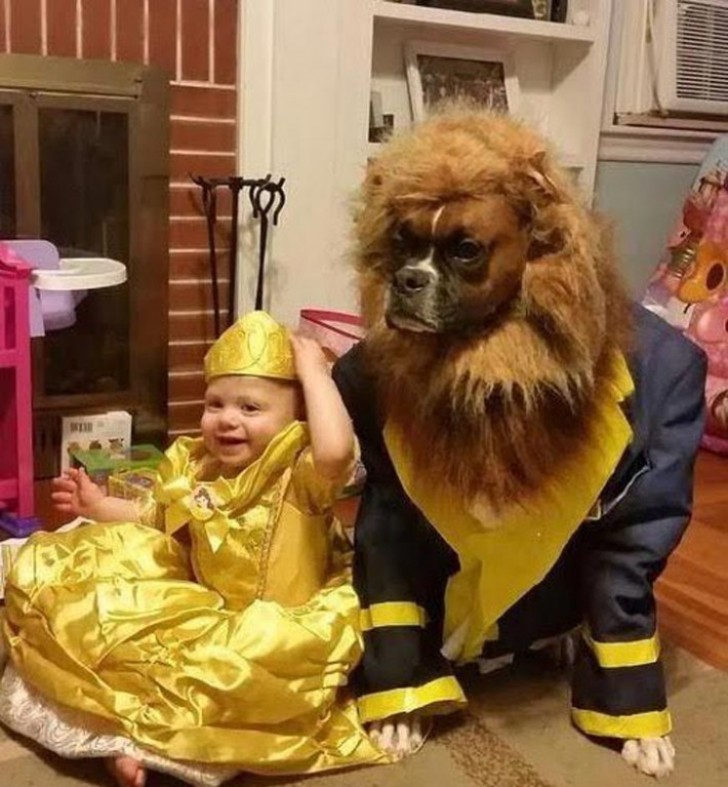 Et voilà! Ze heeft besloten zich te vermommen tot Belle en het Beest voor carnaval